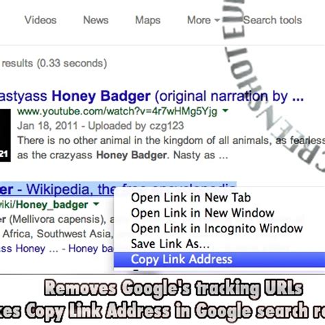 Image result for Copy and Paste Link Address