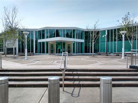 Weekly Update 08/18/2024