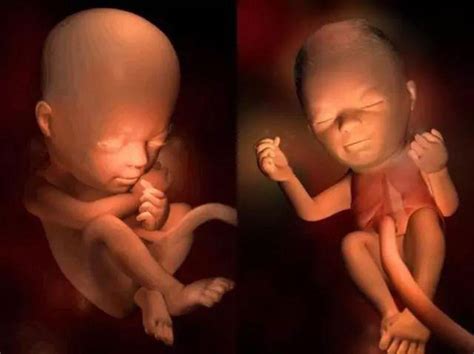 21周胎儿发育指标-21周孕检项目有哪些-孕妈之家