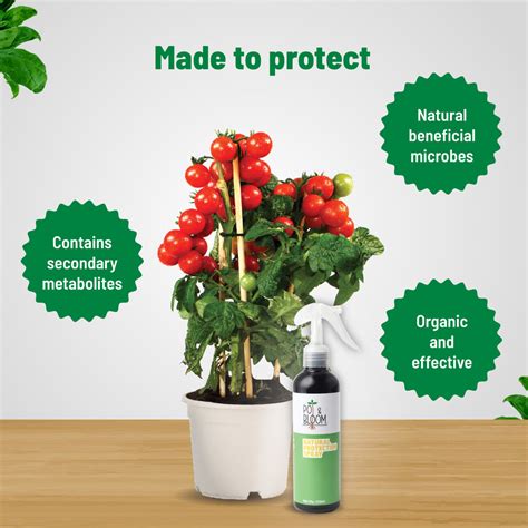 Buy Plant Protection Spray 500ml Online at Best Price | Pot and Bloom