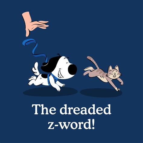 Dog Zoomies: what is it and why does it happen? | Zigzag