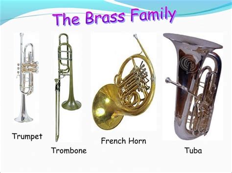 Orchestra Instruments 的图像结果