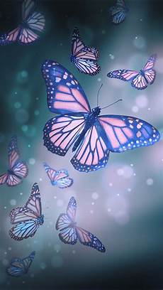 Wallpaper Butterfly Images by Butterfly Wallpaper With Images Butterfly Wallpaper Wallpaper Butterfly Images