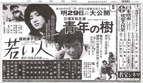 1977年(昭和52年)生まれの年齢早見表【今何歳？・学年・卒業・干支・西暦】｜年収ガイド