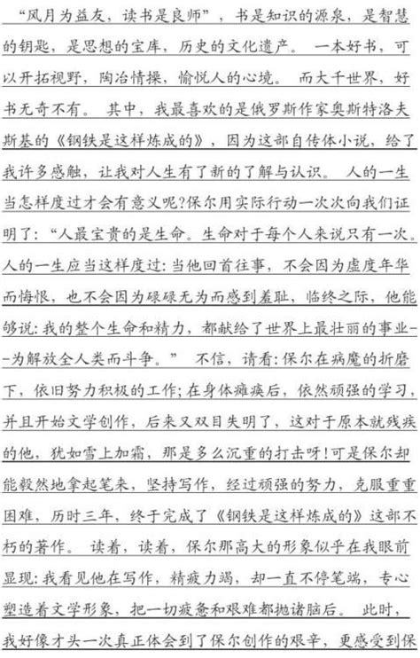 钢铁是怎样炼成的读后感600字初二水平(10篇)Word模板下载_编号qvyeyrej_熊猫办公