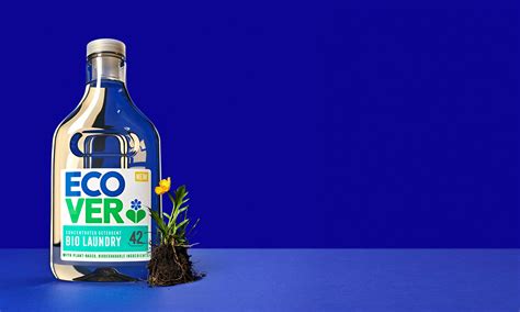 Top 5 Eco-Friendly Detergents for Sustainable Laundry (That Work)