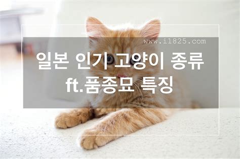 Image result for Warn Python