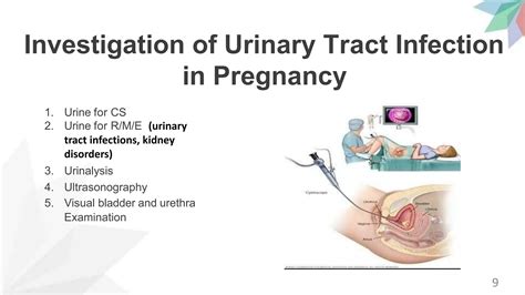 URINRY TRACT INFECTION (UTI) in PREGNANCY | PPTX