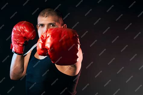 Boxer Boxing 的图像结果