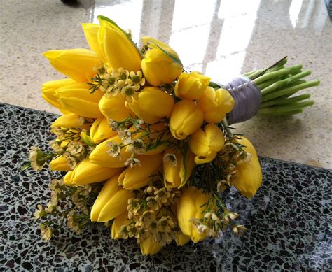 Yellow Tulip Bouquet with Sheer Ribbon