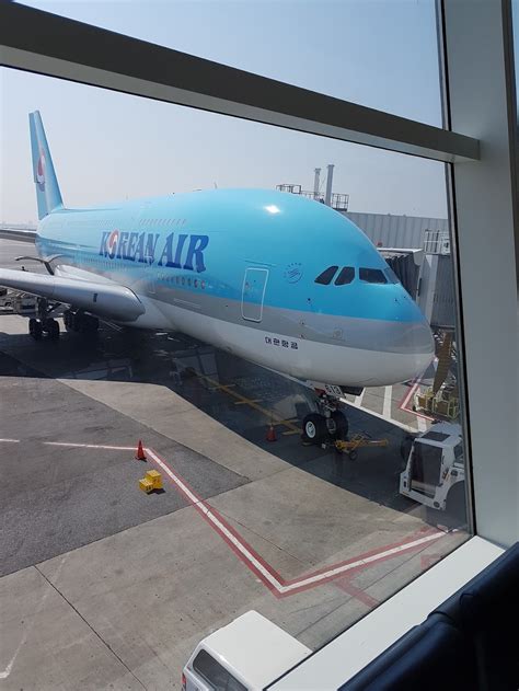 Turkish Airlines - John F. Kennedy International Airport, Terminal 1 ...