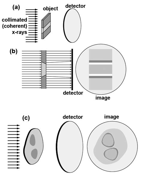 Nondestructive Characterization by Advanced Synchrotron Light ...
