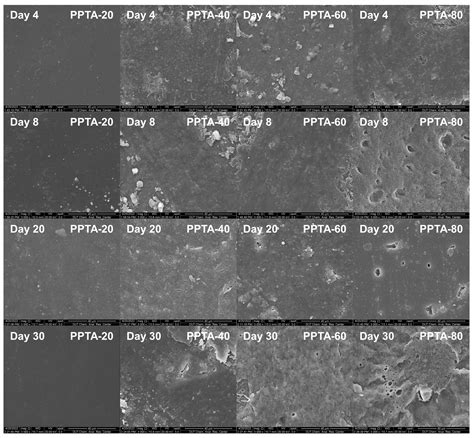 Partially Bio-Based and Biodegradable Poly(Propylene Terephthalate-Co ...