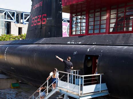 Discover the Argonaute | Meer