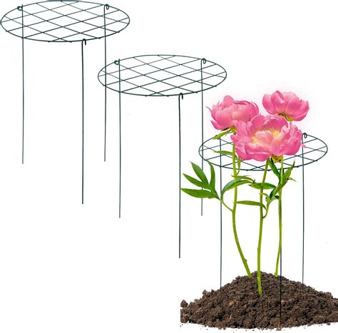 Amazon.com : TIyneayle 3 Pack Peony Cages and Supports 16 x 24 Inch Grow Through Plant Support ...