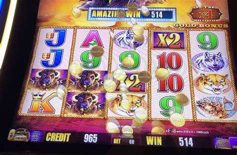 buffalo gold slot winners,Buffalo Gold Slot