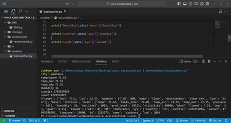 Weather Chatbot Using Python 的图像结果
