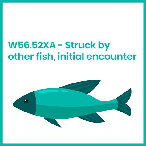 Funny ICD-10 Codes - W56.52XA | Icd 10 codes, Coding, Medical coding