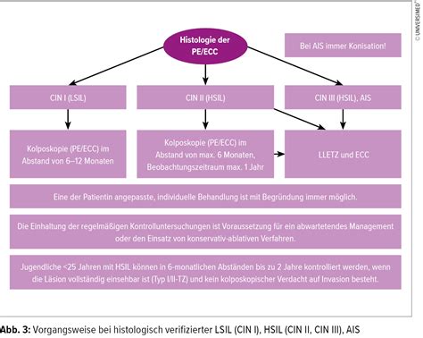 Diagnostik und Therapie zervikaler intraepithelialer Neoplasien (CIN ...