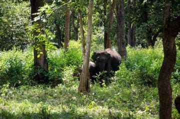 Amazing 2 Days Karnataka Wildlife Vacation Package | Karnataka Trip ...