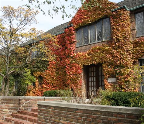 Tuition & Fees | Admissions | Cranbrook Academy of Art