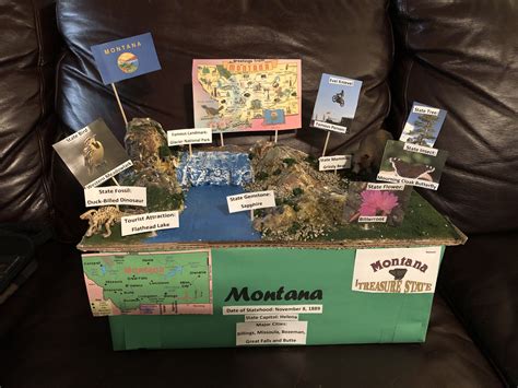 Montana State Float | States project, Science fair projects, Projects ...