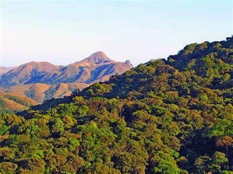 Blog: Forest Homestay - Gowdahalli - Chikmagalur | Sakleshpura ...