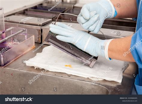 Microscope Slide 的图像结果