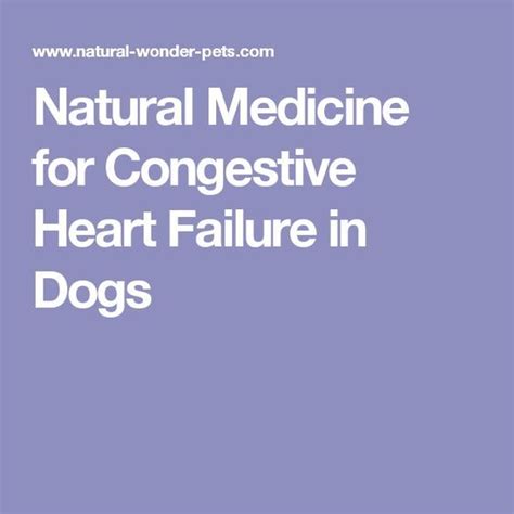treatment for dogs in heart failure