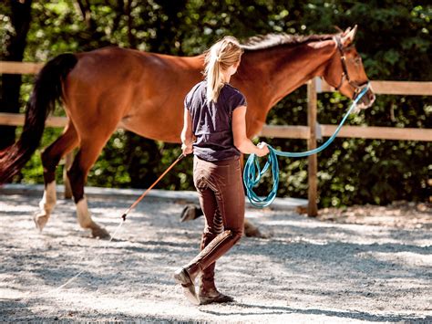 Lunge A Horse: Meaning, Benefits, And How To Do It Correctly