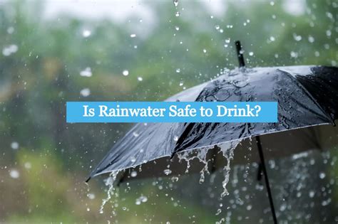 Is Rainwater Safe to Drink? | Info Captain