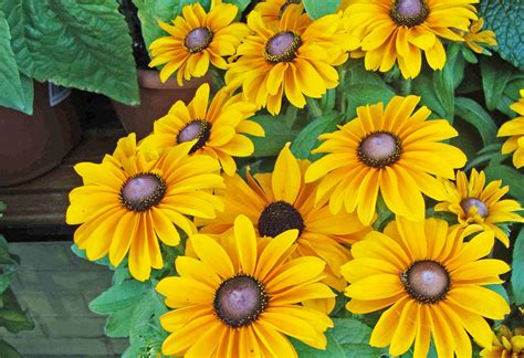 Maryland State Map - Map of Maryland and Information About the State