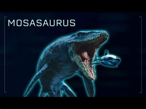 drawing a face step by step easy