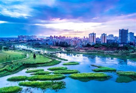 “黄河入海、我们回家——2020黄河口（东营）摄影大展” 在京启动-影像中国网-中国摄影家协会主办
