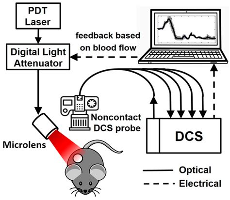 Blood Flow Measurements Enable Optimization of Light Delivery for ...