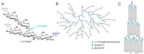 Pathogenesis of Lafora Disease: Transition of Soluble Glycogen to ...