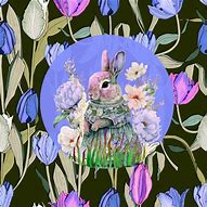 Image result for Bunny Rabbit White Background