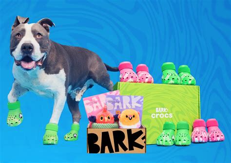 BarkBox & Super Chewer Coupon: FREE Crocs For Dogs With First Box of ...