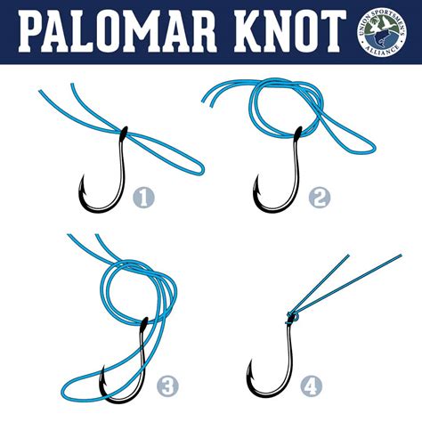 Easy Fishing Knots to Learn: Master Simple Techniques Today – Tetra Hook