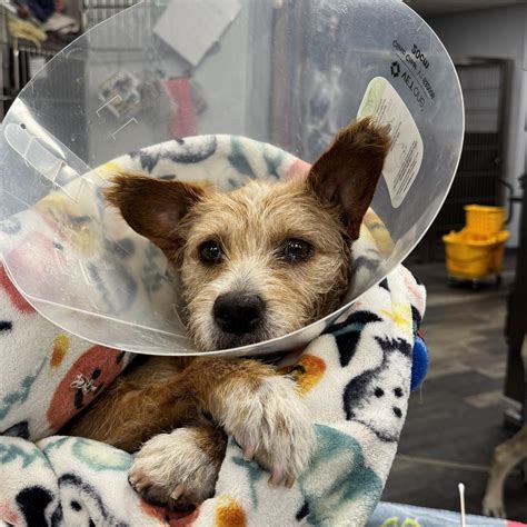 Margo - 15/10 Foundation