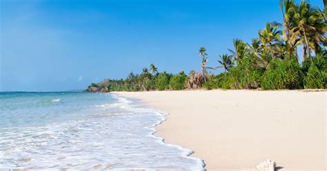 Diani Beach Travel Guide | Diani Beach Tourism - KAYAK