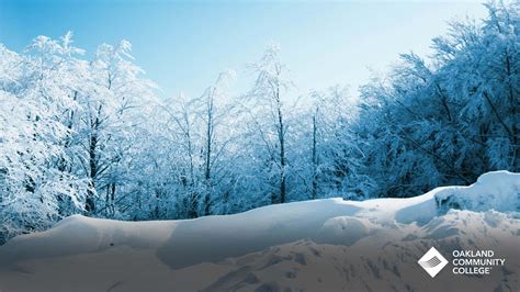 [100+] Snow Zoom Backgrounds | Wallpapers.com