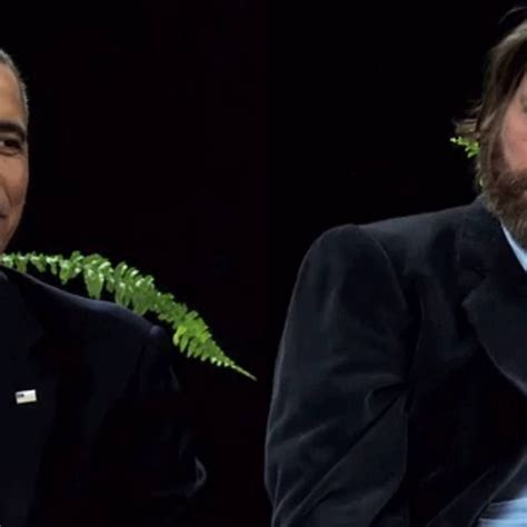 Zach Galifianakis Between Two Ferns Gif