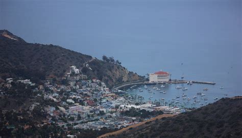 Supervisors oppose plan to eradicate deer population on Catalina Island ...