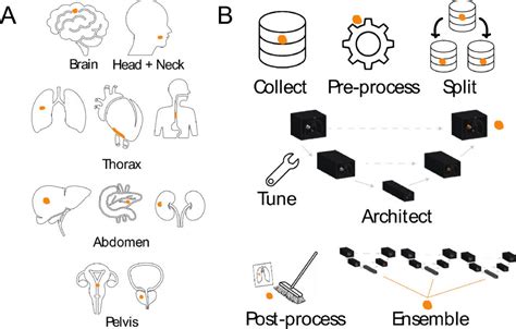 Image result for Tumor Segmentation Using Python
