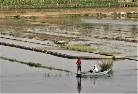 Overseas Adventure Travel Reviews