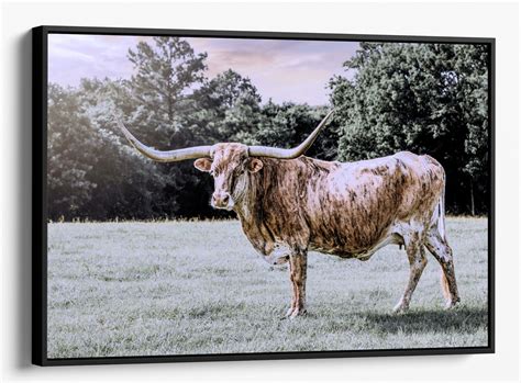 Large longhorn art texas longhorn canvas print cattle photography fine ...