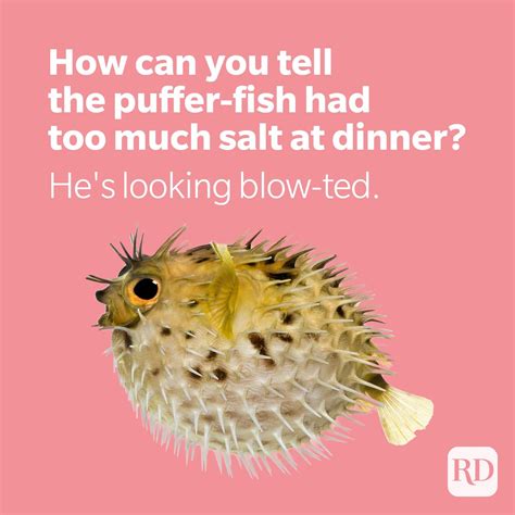 101 Fish Puns and Jokes That Will Split Your Gills | Reader's Digest