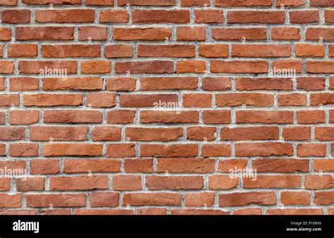 Image result for Brick Color Randomizer Script