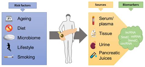 Emerging Role of Epigenetic Alterations as Biomarkers and Novel Targets ...